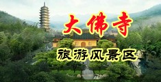 欧美大鸡巴操屄网站中国浙江-新昌大佛寺旅游风景区
